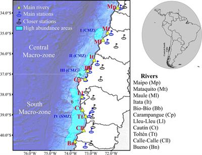 River Runoff as a Major Driver of Anchovy (Engraulis ringens) Recruitment but Not of Common Sardine (Strangomera bentincki) in Central-South Chile